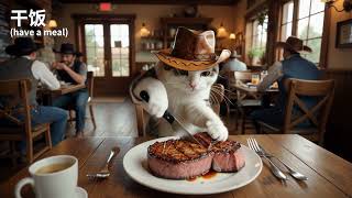 【A Day of the Cowboy Cat】Humans, let's forget our troubles together with me.