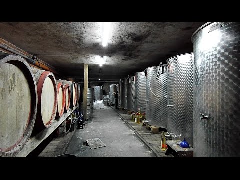 Reizer Winery, Turulung – unforgettable wine experiences in Romania’s Maramureș wine region!