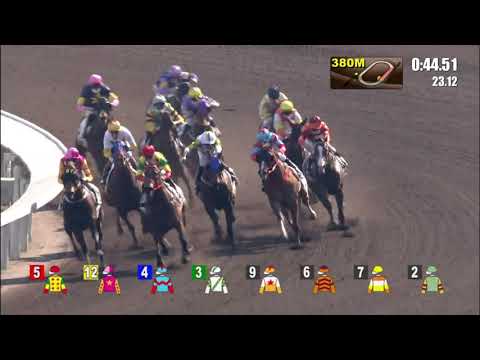 21/2/2021 (446) Man Star -  K Teetan