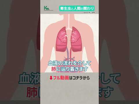 この寄生虫は危険である可能性があります - 蔓延しています