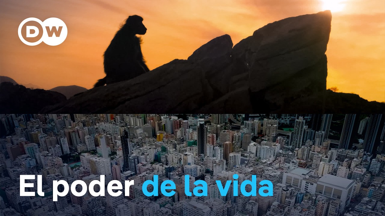 Nueva historia de nuestro planeta | DW Documental