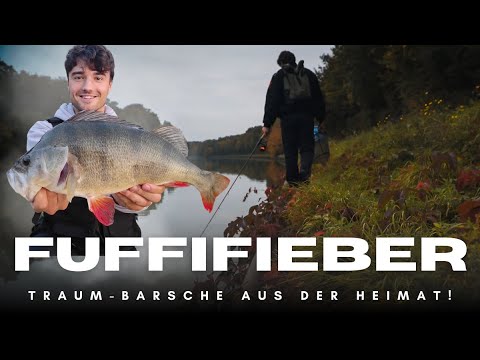 Barschangeln am Kanal: Riesige PB-Barsche direkt vor der Haustür!