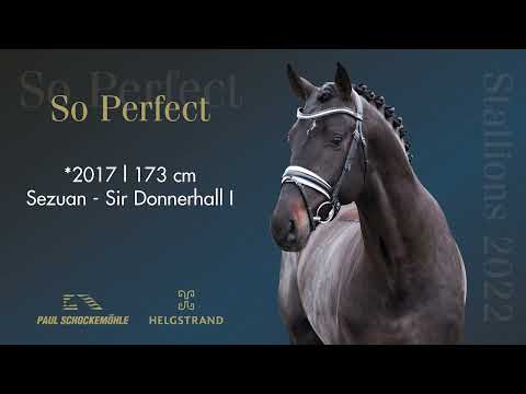 So Perfect - Dressage Collection 2022 Schockemöhle & Helgstrand (ENG)