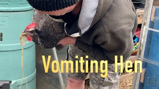 Why we had to make our hen vomit!