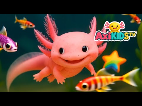 Axa Underwater 🌸💦The Cutest Axolotl Life Adventure  discover how axolotls live in water | Axi kids