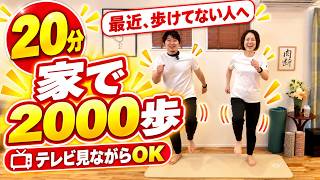 【更年期の脂肪燃焼🔥】20分室内ウォーキング！足踏みだけで約2000歩【50代60代/飛ばない】