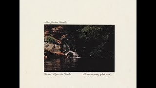 Roedelius - Bergan