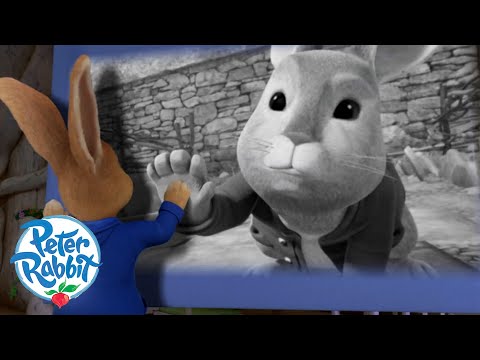 @Peter Rabbit - Meet Peter Rabbit’s Late Father 🎥🐰 | Meet the Characters | Cartoons for Kids