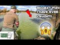 FIRST TIME CARP FISHING ON BIG HAYES AT TODBER MANOR FISHERIES PB Alert