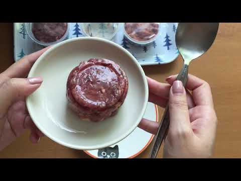 RAW INSTINCT FROZEN CAT FOOD || Choops Tries It!