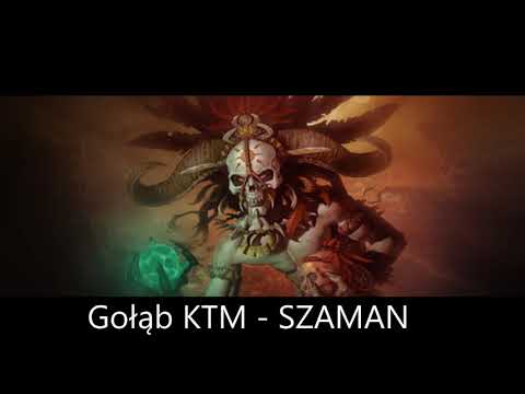 Gołąb KTM - SZAMAN