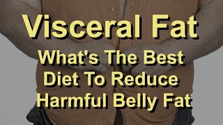 Visceral Fat -- What