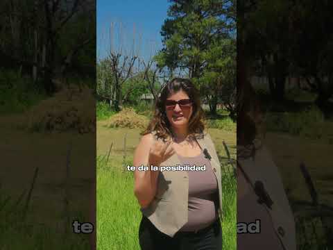 Lotes disponibles - Constitución Tafí Viejo