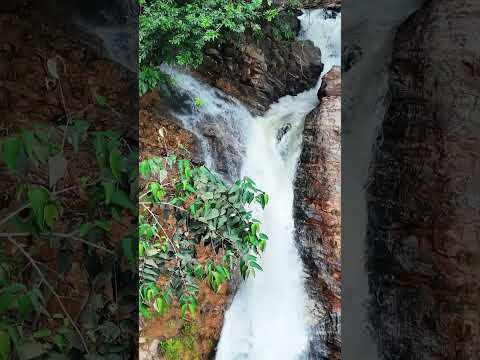 CAÑON DEl ARENOSO - SAN VICENTE DEL CAGUAN