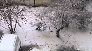 Первый снег в Киеве 2012г.