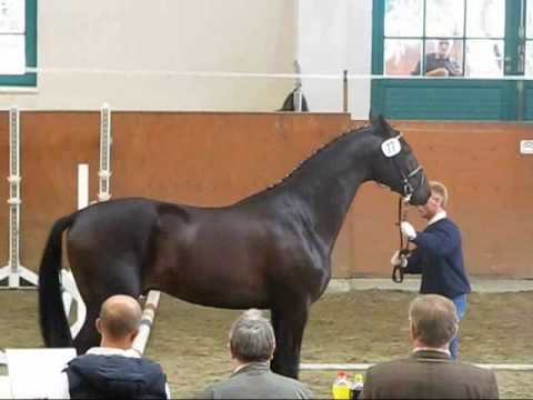 Hot Summer Redefin Part 1