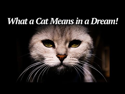 What a Cat Means in a Dream/Dreams about cats/Biblical Dream Interpretation!