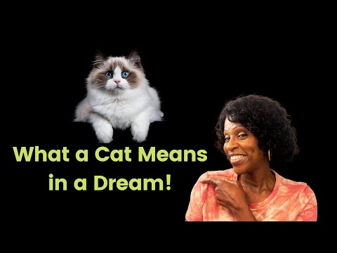 What a Cat Means in a Dream/Dreams about cats!