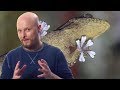 Amazing Technologies Inspired By Nature