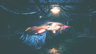 Pódio Lyrics English Translation