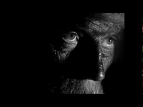 NO HOPE FOR MEN BELOW TRAILER