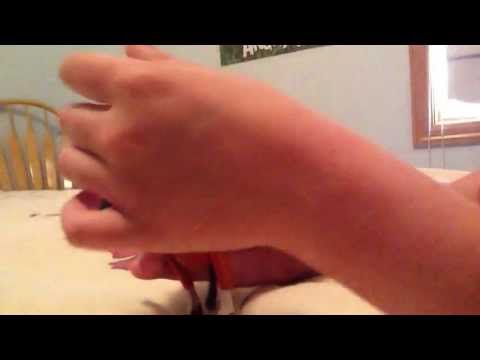 Crazy horse attacks me!!!!