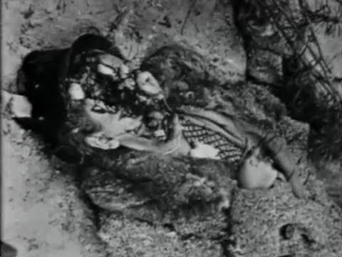 Alliierte Kriegsverbrechen Teil 1 - Eine atemberaubende Doku von A. de Zayas, , M. Vogt u. W. Venohr