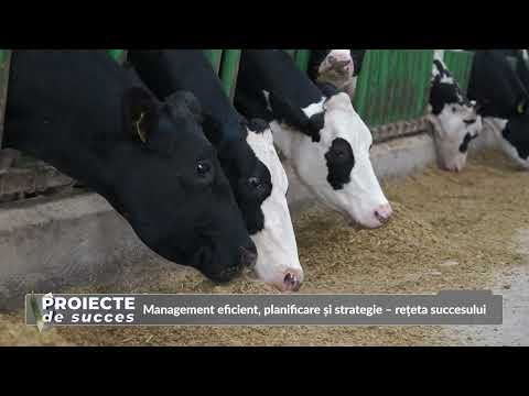 Proiecte de succes - Lucian Chelariu, Panifcom. Ovidiu Ghinea 07 12 2025