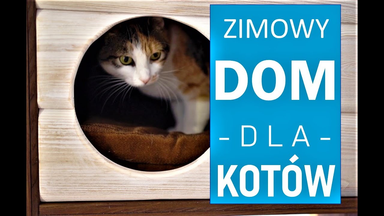 Zimowy DOM dla kotów