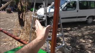 פרוייקט בניית לול תרנגולות - קיימות