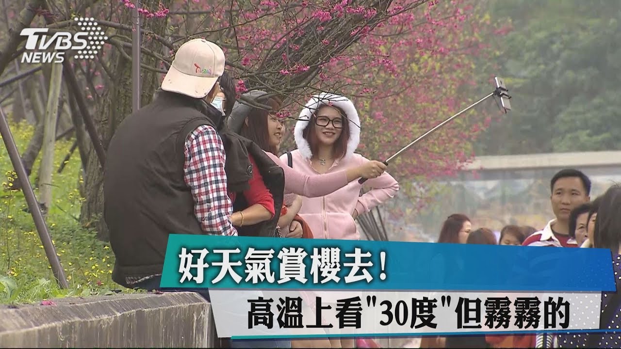 好天氣賞櫻去! 高溫上看「30度」但霧霧的