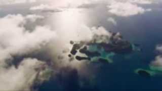 Negramaro  Blucobalto Acustica /Netopier Pipistrello/