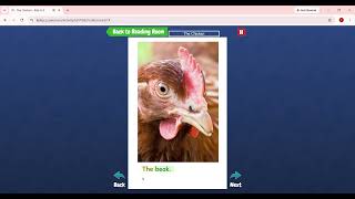 Level AA.The Chicken