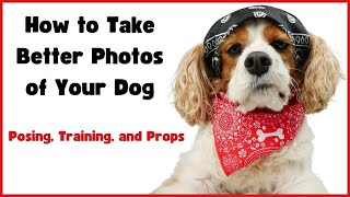 How to Take Better Photos of Your Dog 📸 Posing, Training, and Props 🐕