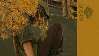 Cover art for argyle