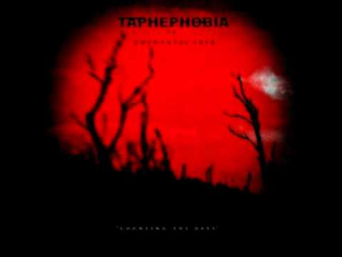 Taphephobia - No Beacon In Sight