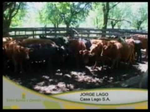 Entre Surcos y Corrales - Programa 49 - Parte 1 de 5