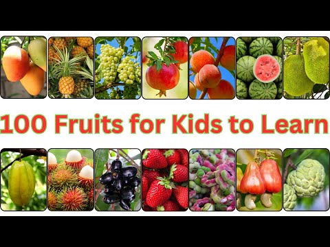 Learn 100 Amazing Fruits in 10 Minutes