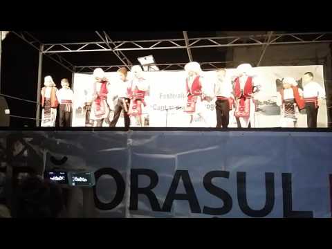 Ansamblul folcloric Danubius Tulcea