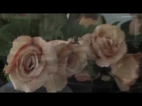 Balzico school Cava de' tirreni ok