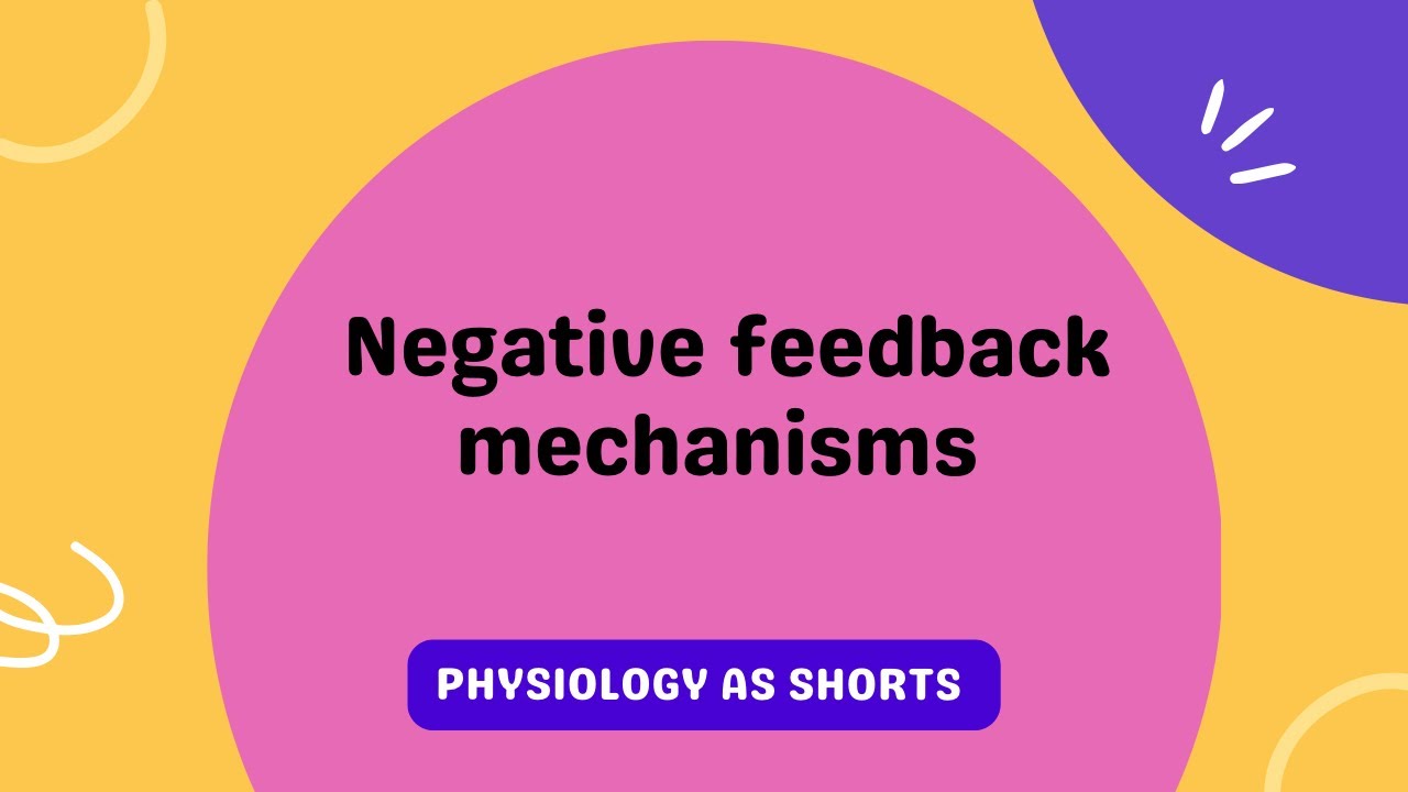 Negative Feedback mechanisms