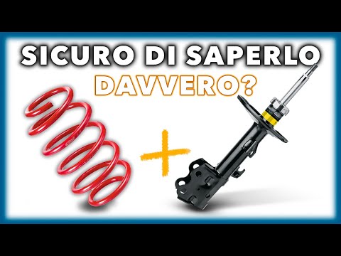 Shock absorber springs