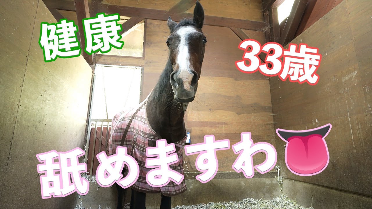 健康のためにウインドインハーヘアが舐めまくるモノとは！？