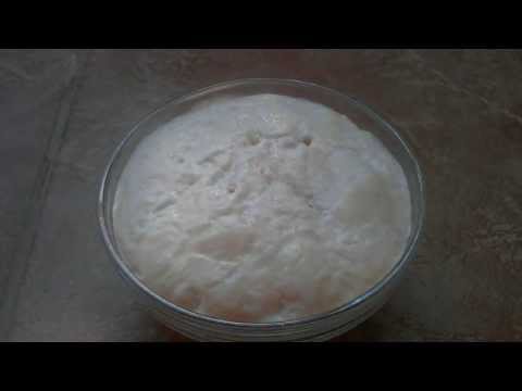 Élesztő - yeast timelapse