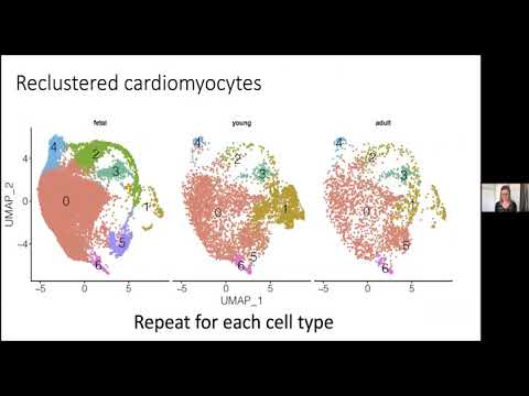 HCA Meeting Asia 2020: Co-current 1-2b - Beyond single sample applications