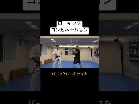 【HowTo】LowKickCombination〜ローキックコンビネーション〜 #空道 #大道塾 #MMA #コンビネーション #ローキック