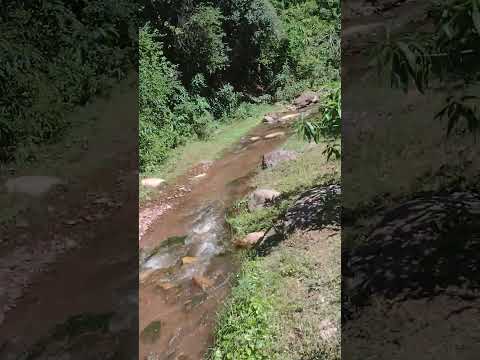 Salta chicoana tilín 