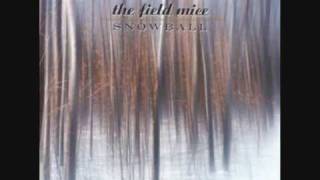 FIELD MICE  You&#39;re kidding Aren&#39;t You