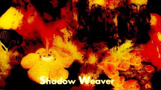 The Legendary Pink Dots - Zero Zero (LYRICS ON SCREEN) 📺