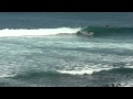Dogs Dream Of Surfing